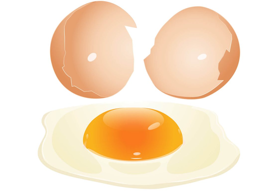 卵のカロリーと栄養