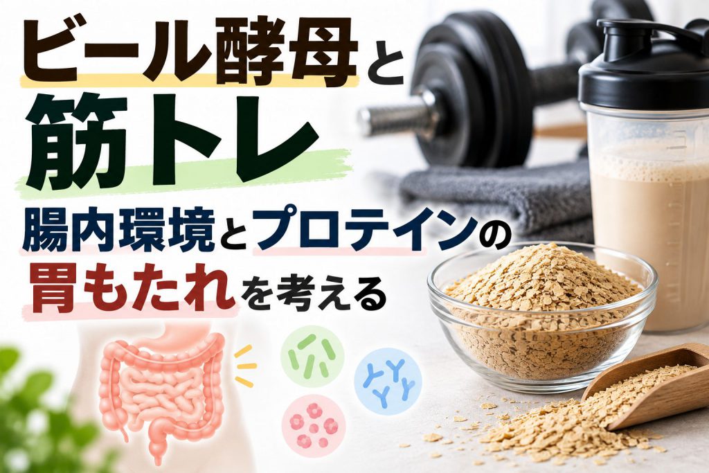ビール酵母と筋トレ｜腸内環境とプロテインの胃もたれを考えるの完成サムネイル